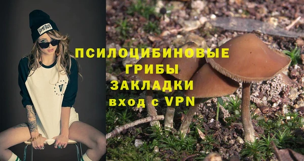 прущие крисы Верея