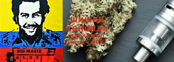 прущие крисы Верея
