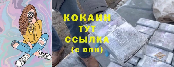 прущие крисы Верея